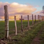 The Essential Guide to Fence Post Hinges