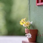 Essential Guide to Garden Shed Hinges