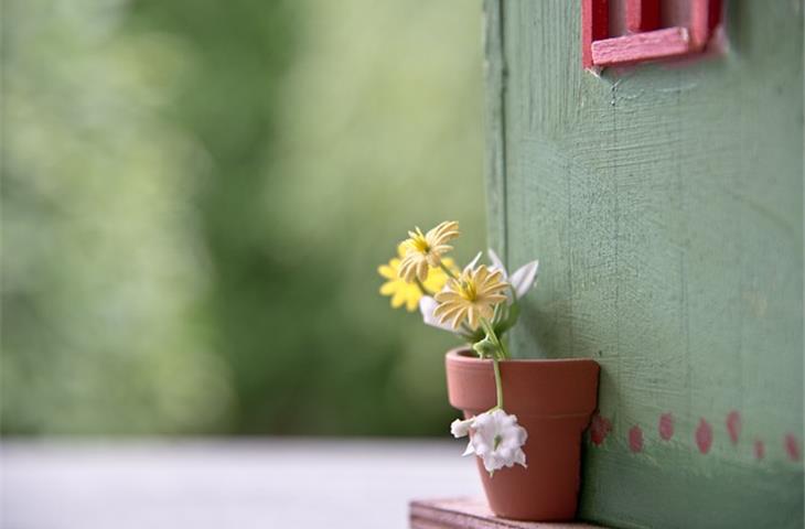 Essential Guide to Garden Shed Hinges