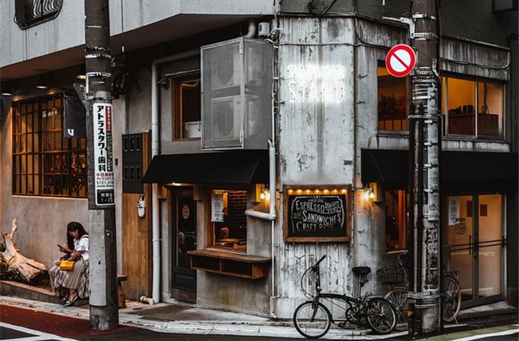 The Perfect Gravity Hinges for Cafe Doors