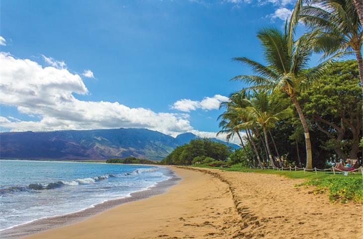 The Enchanting Hawaii Li Hing Mui Powder