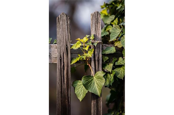 Enhancing Security with Hinge Joint Fences