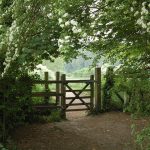 Essential Guide to Outdoor Gate Hinges