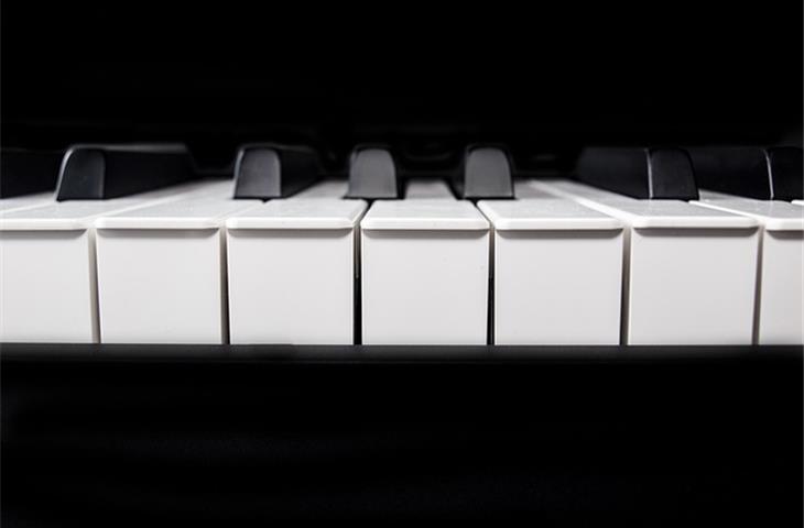 The Black Piano Hinge: A Comprehensive Guide