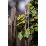 Mastering Privacy Fence Gate Hinges