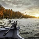 The Versatile Hinged Rod: Applications and Needs