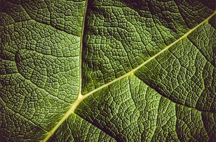 The Essential Role of Leaf Hinges in Modern Design