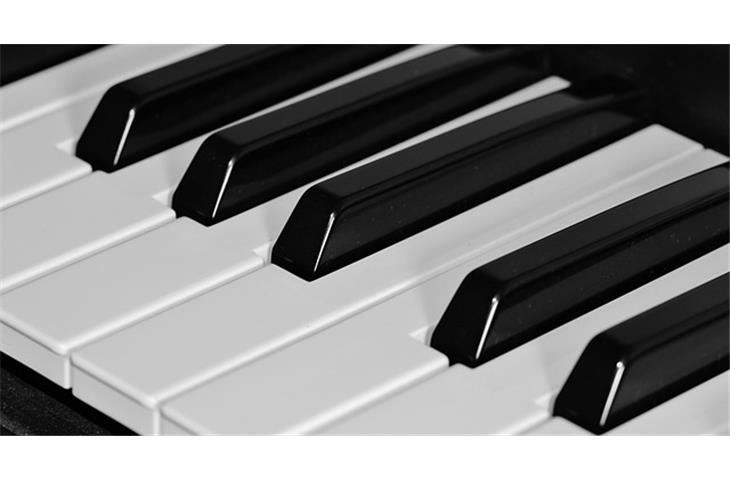 Unveiling the Potential of Hinge Piano Stainless