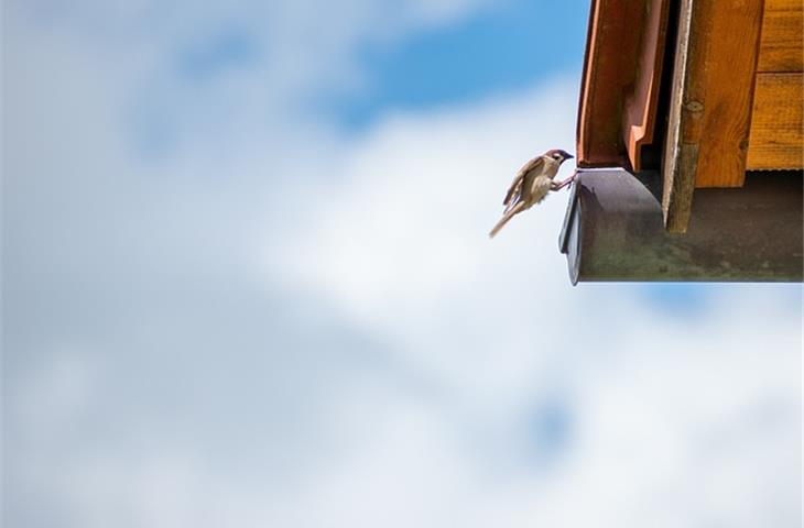 Essential Guide to Gutter Downspout Hinges