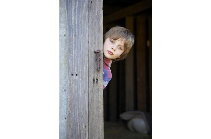 exterior hinged barn doors