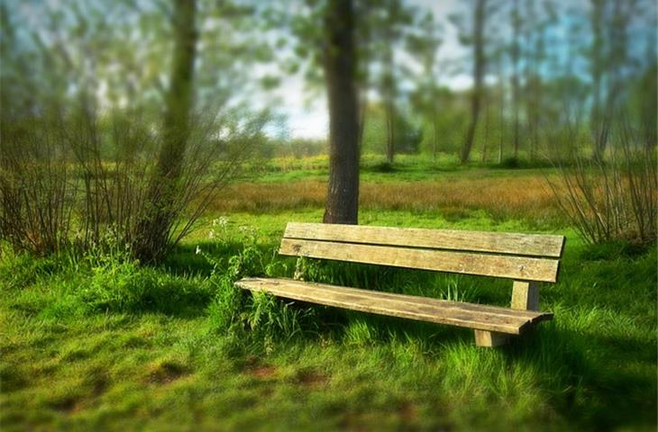 hidden bench seat hinge