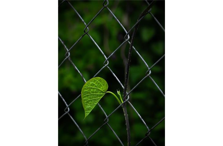 chain link fence hinge