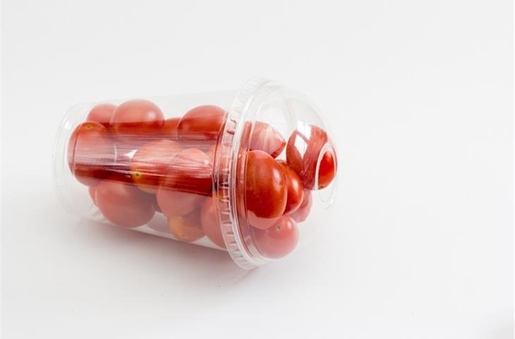 clear plastic hinged container