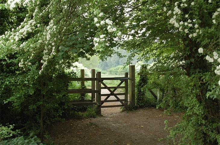 outdoor gate hinges