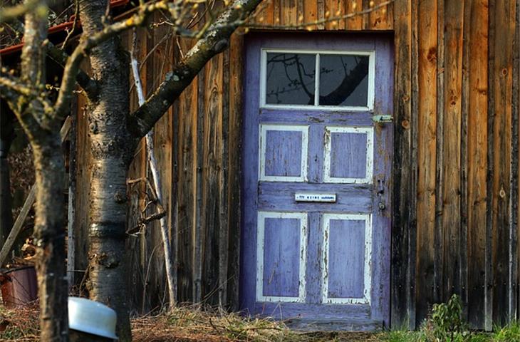 shed door hinge