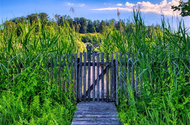 hinges for wooden gate