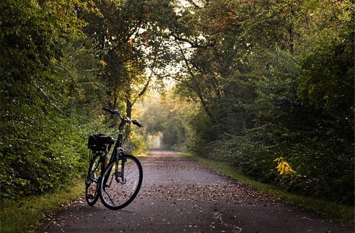 velo hinge bike