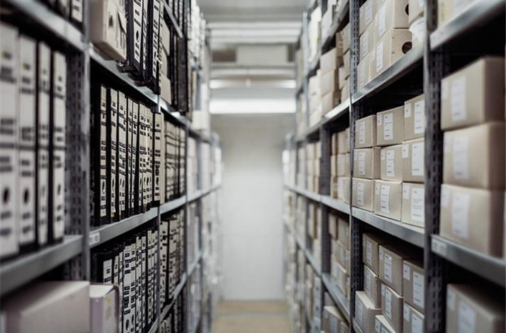 storage totes with hinged lids