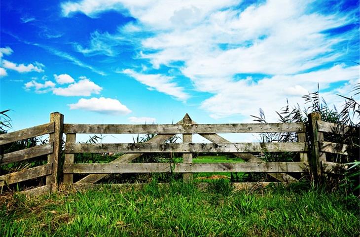 pipe fence gate hinges