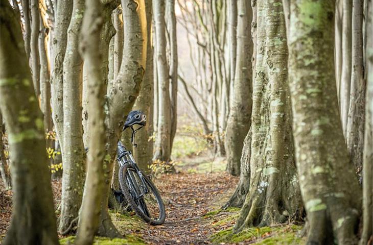 velo hinge bike