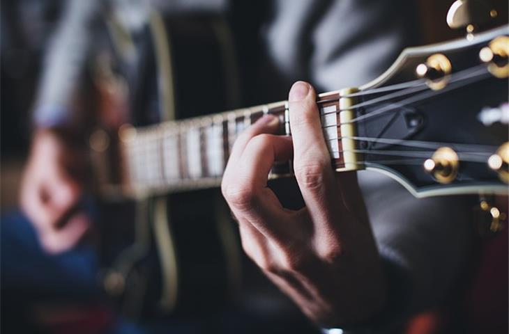 guitar case hinges