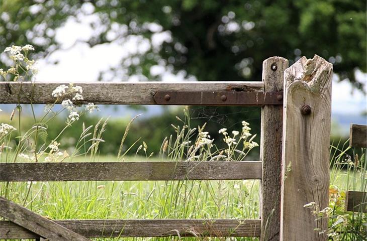 farm gate hinge